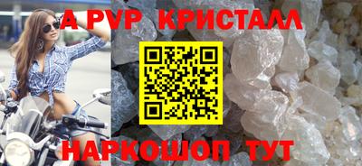 хмурый Кингисепп