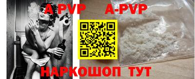 хмурый Кингисепп